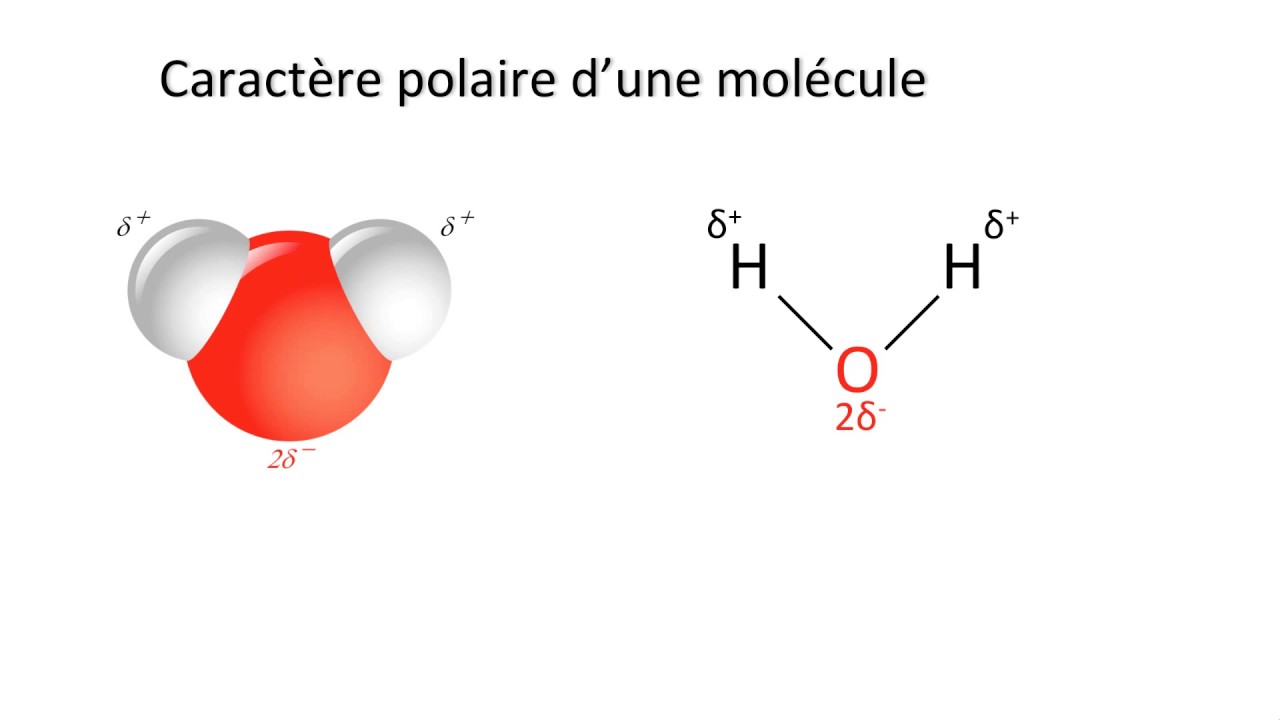 Cohésion des solides 2/3 (polarité d'une molécule)