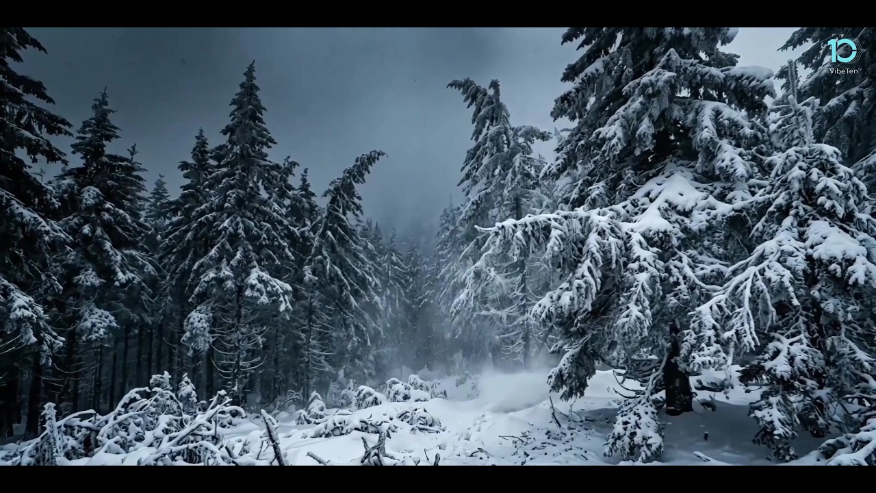 VibeTen | Arctic Blizzard — 1 Hour Strong Winter Wind & Intense Snowstorm Ambience