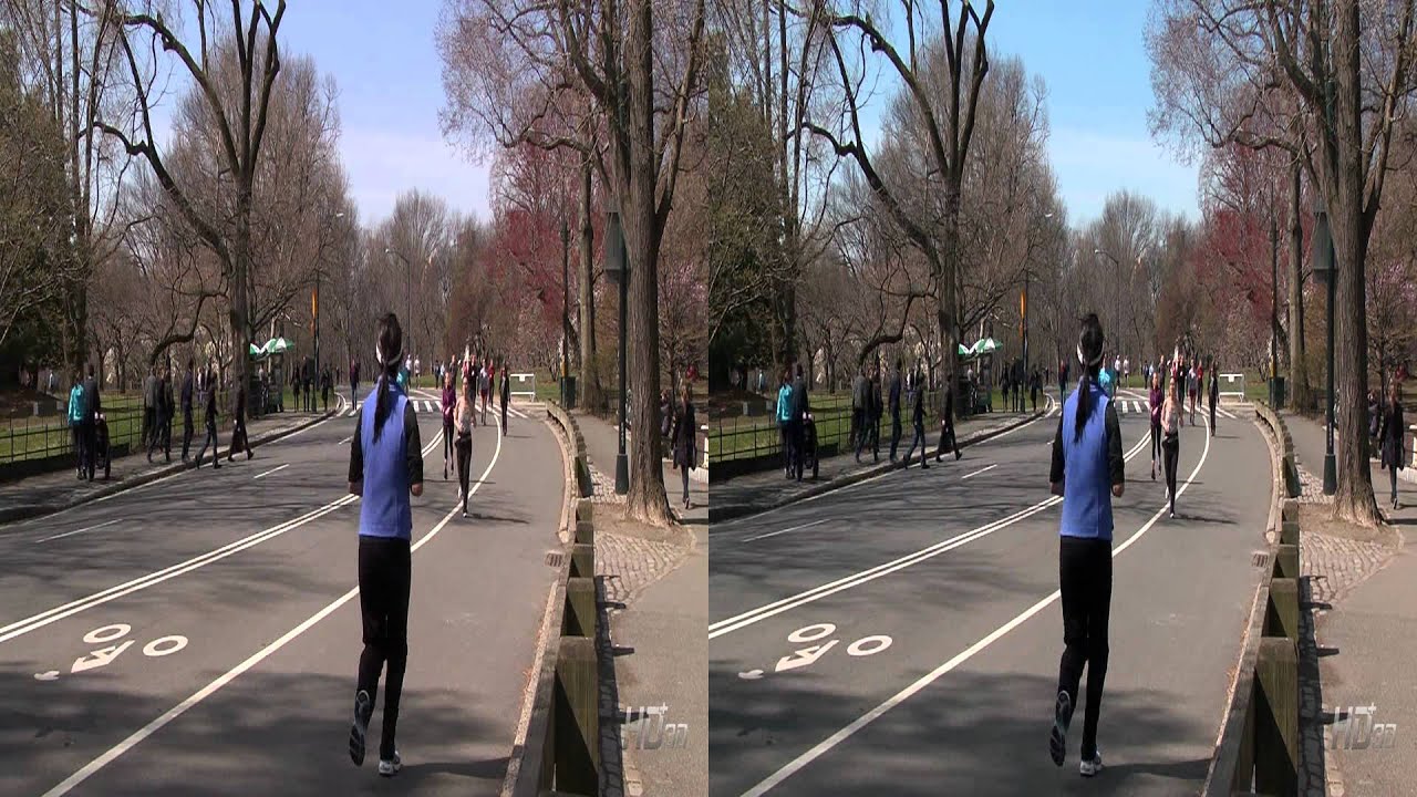 Central Park - Manhattan in New York City, United States (3D Side by Side)