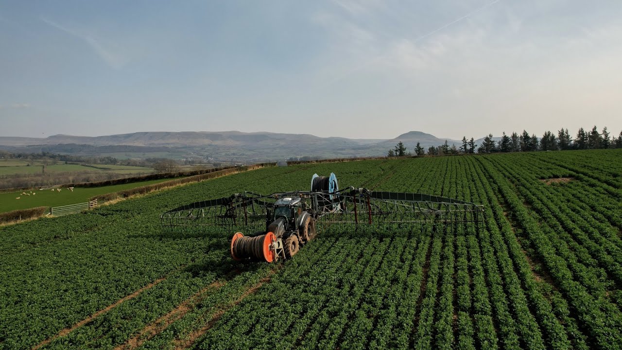 SPREADING DIGESTATE ON 24M TRAMLINES WITH VALTRA T254 AND VOGELSANG DRIBBLE BAR