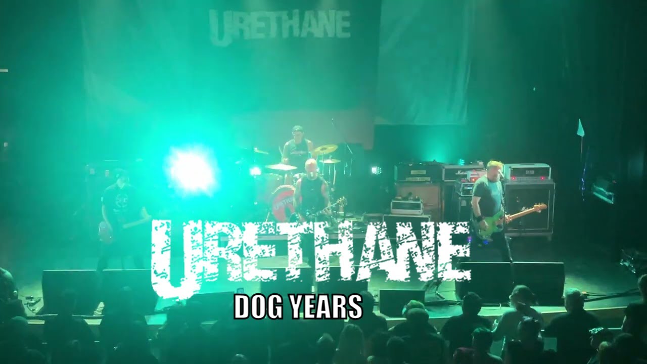 URETHANE - DOG YEARS