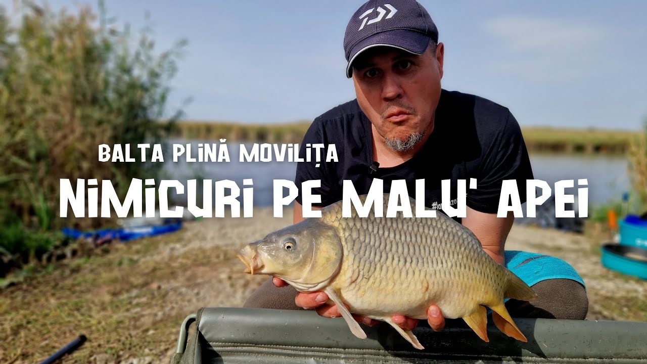 La pescuit cu Costellino pe Balta Plină Movilița - @CezarFidaristu