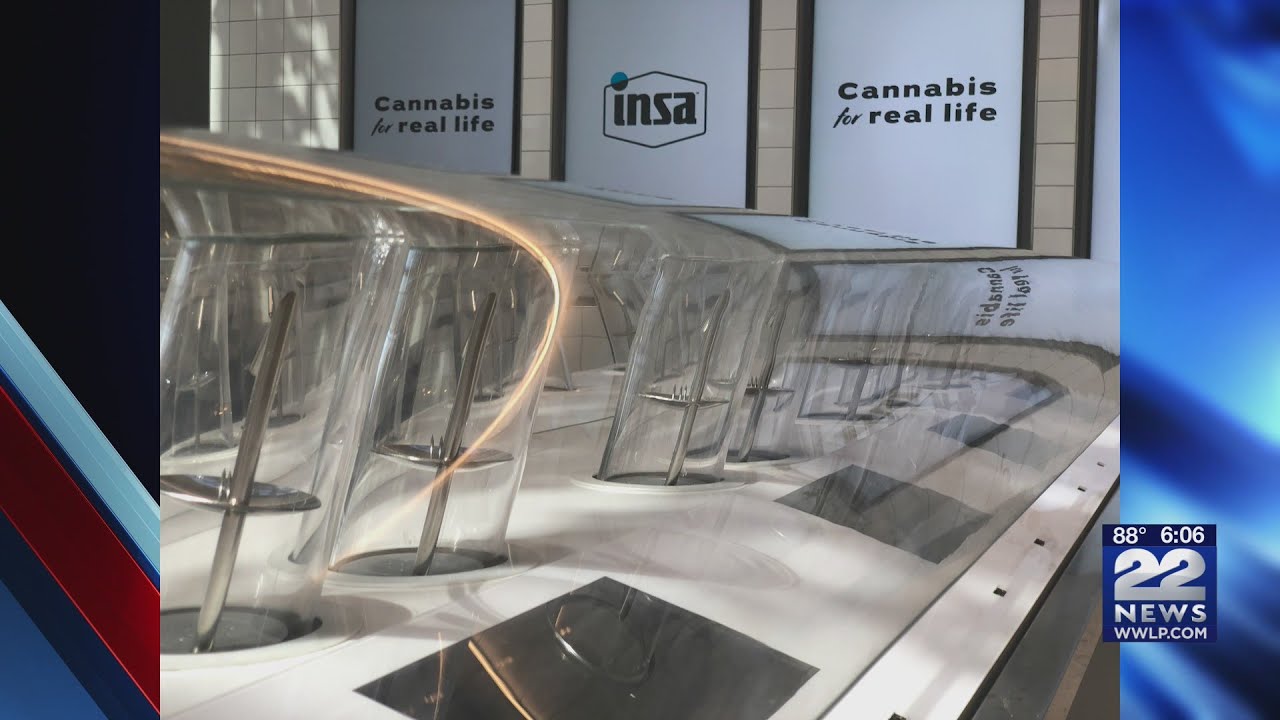 Black market marijuana still popular despite legalization