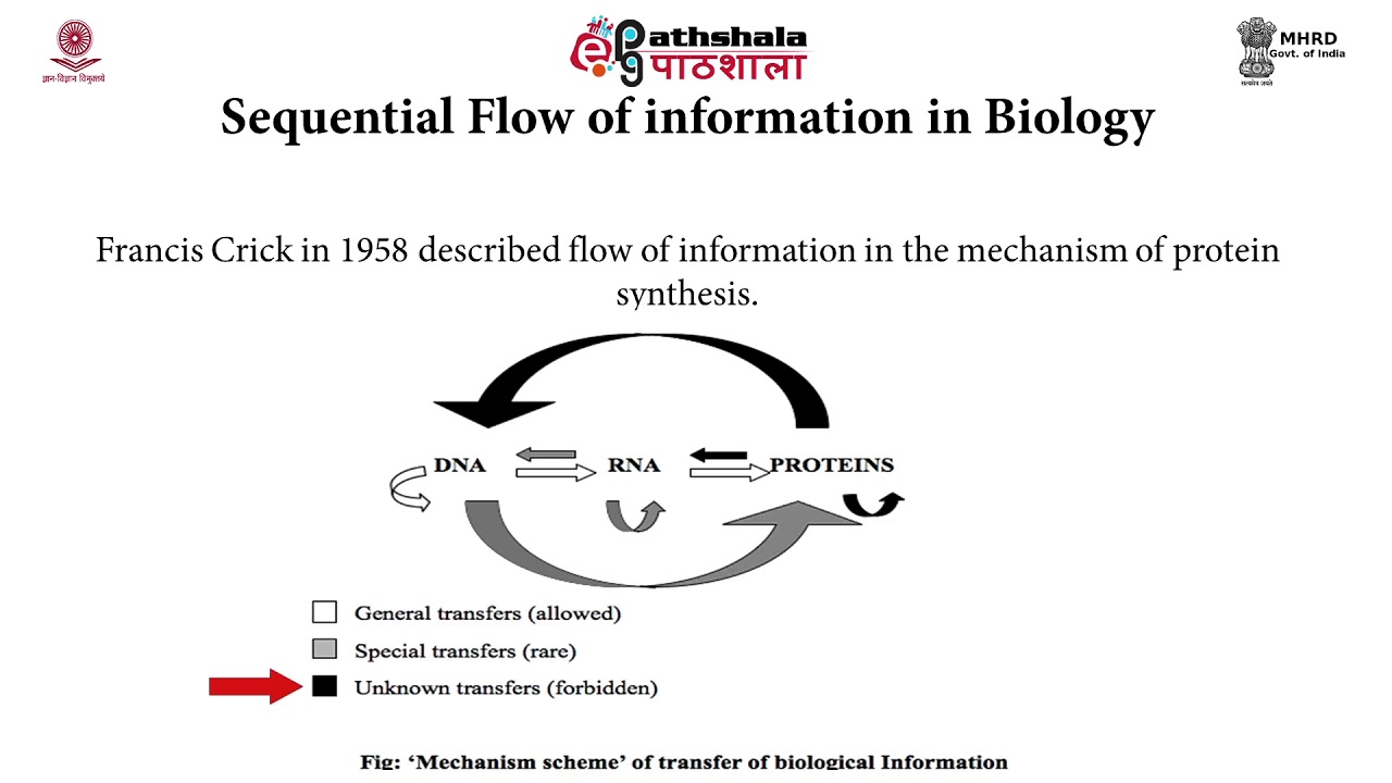 Structural organization of genome: Bioinformatics