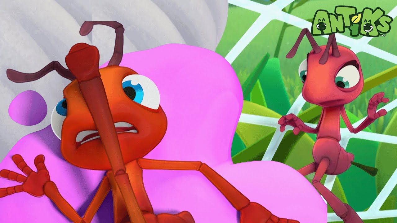 All Wrapped Up | 😄🐜| Antiks Adventures - Joey and Boo's Playtime