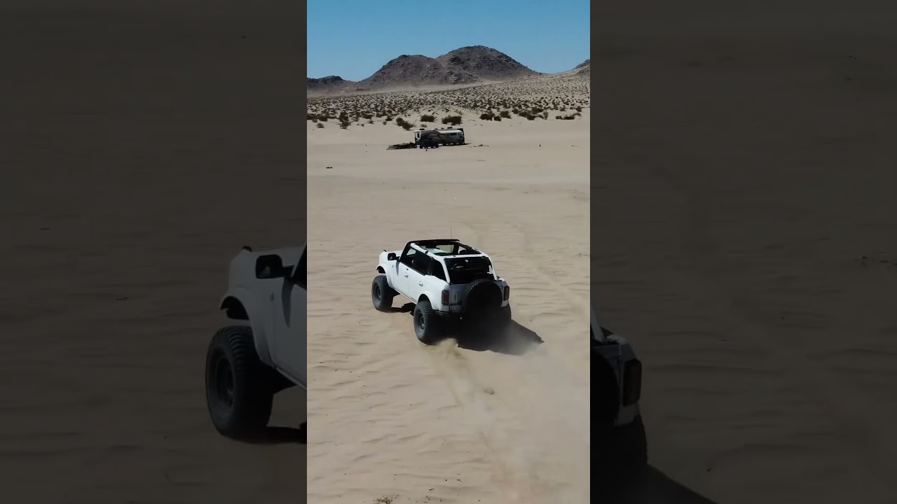 Thursday Vibes 🛞🌵