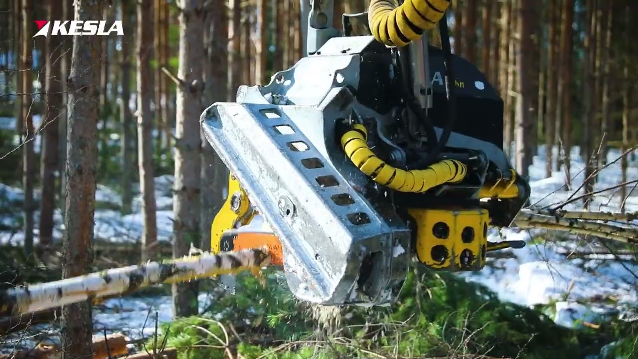 KESLA 25RH-II harvester head and Hitachi excavator