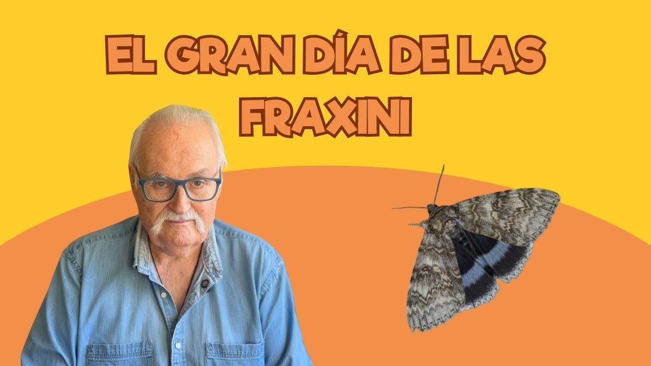 Viviendo en un Zoo: El gran día de las Fraxini | Santillana del Mar