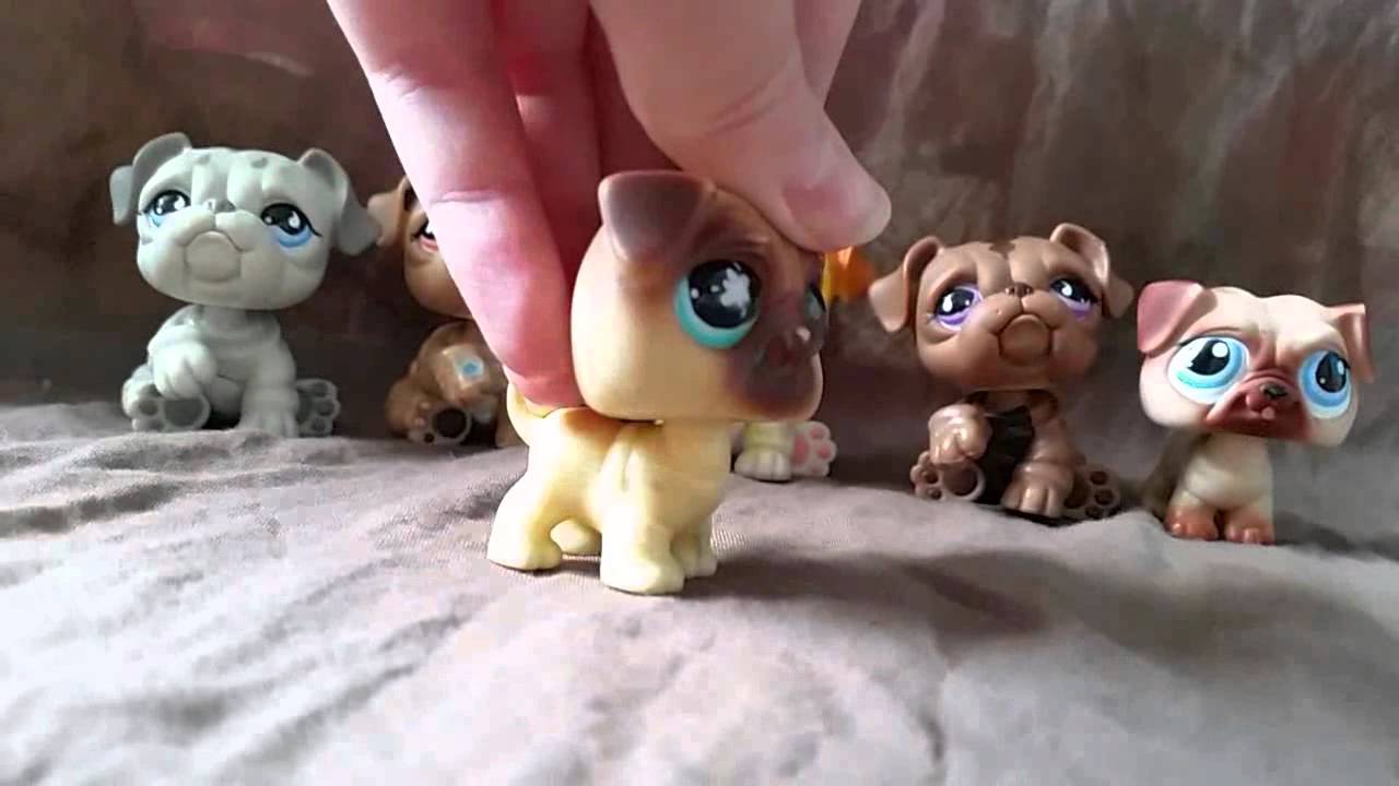 LPS: "Zakręceni" #43 Littlest Pet Shop !