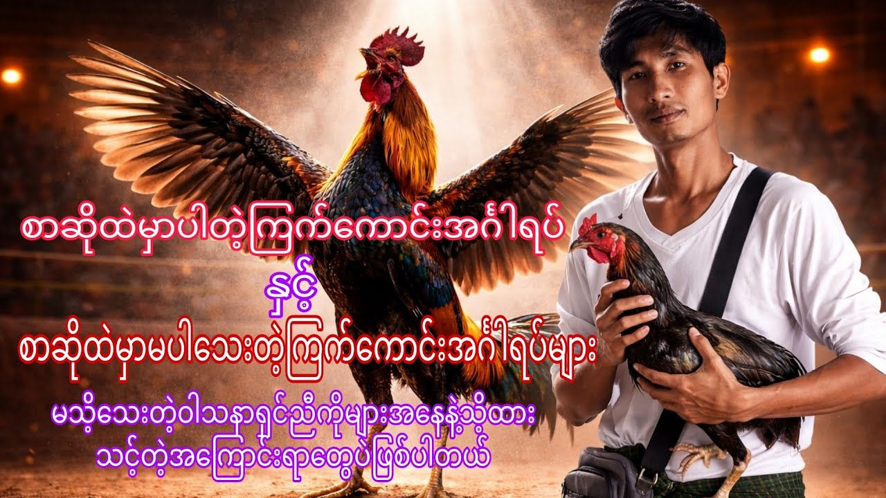 ကြက်ကောင်းအင်္ဂါရပ်