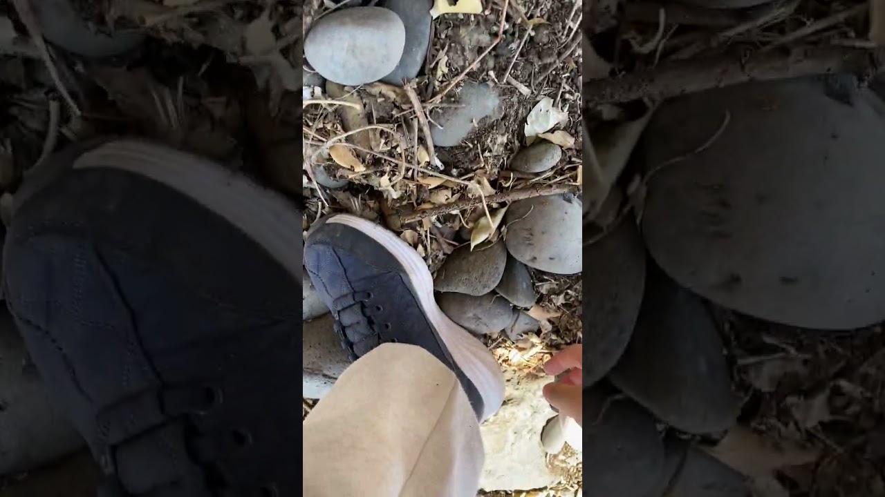 올레길7코스