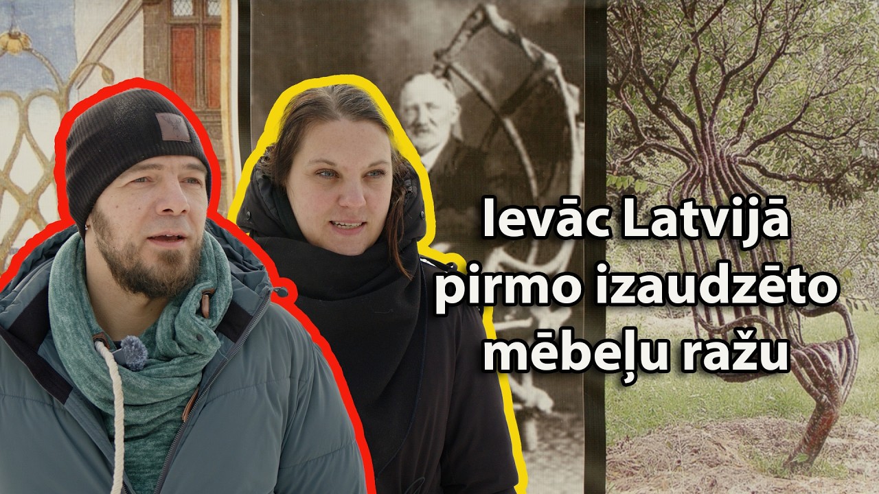Ievāc Latvijā pirmo izaudzēto mēbeļu ražu