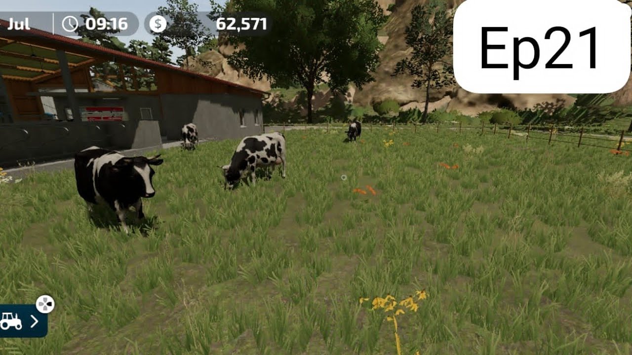 Farming simulador 23: comprando as vacas Ep21