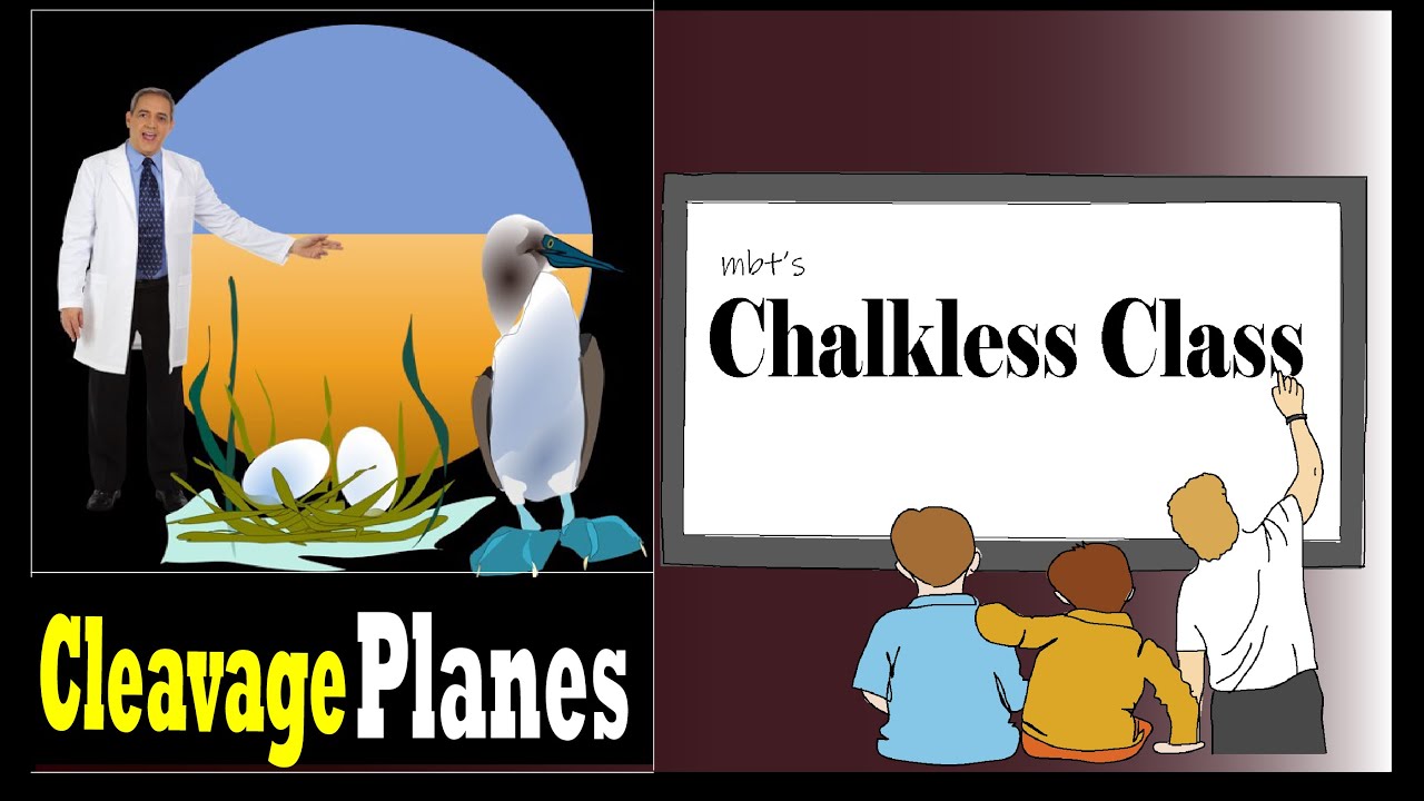 Cleavage Planes