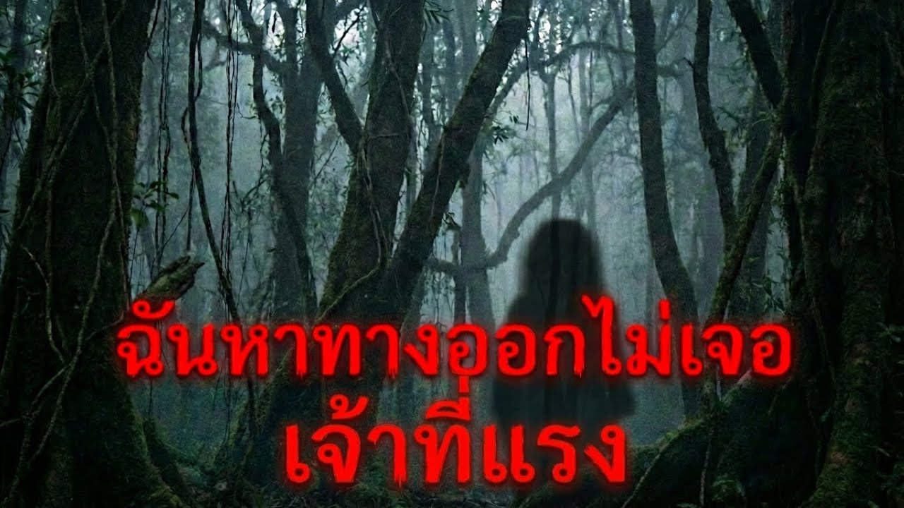 ติดอยู่ในป่าเจ้าที่แรง#อย่าลืมขอขมาก่อนเข้าป่าทุกครั้ง#เจอเจ้าที่แรง#เล่าเรื่องผี