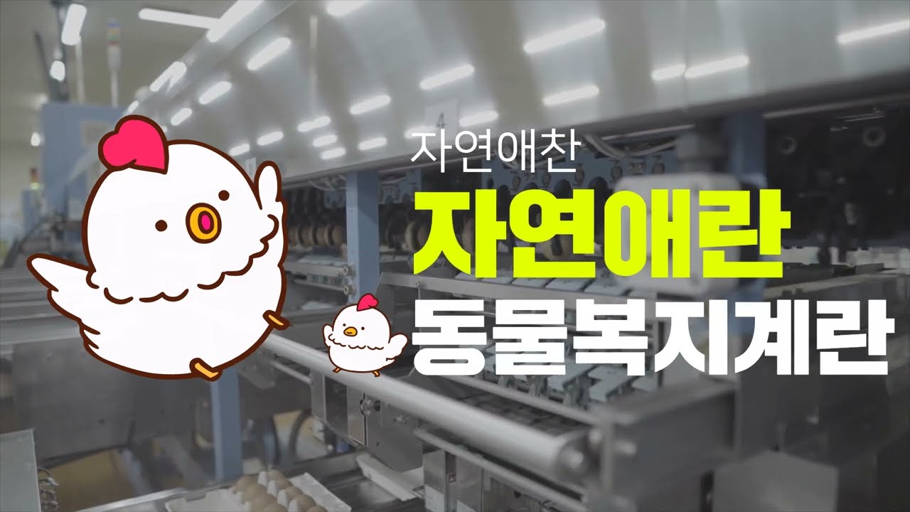[계란공장] [달걀공장] 홍보영상 세양 주식회사 달걀 유통 구운란 반숙란 날달걀