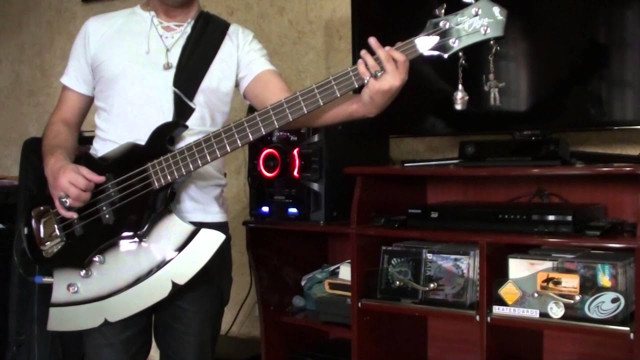 Sleeping Sun - Nightwish Bass Cover (Alexbass)