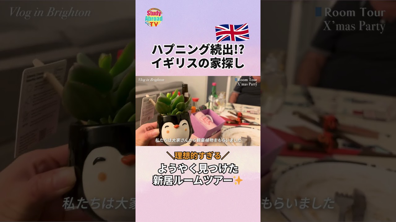 【現役留学生のリアル】イギリスでホームレス寸前！？トラブル連発の家探しと新居ルームツアー #イギリス留学 #イギリスワーホリ #家探し #ルームツアー