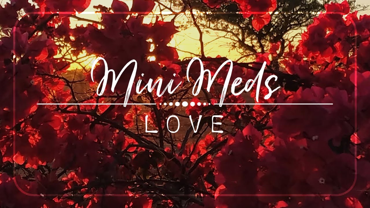 Mini Meditation | LOVE | 5 Minute Guided Meditation | Absorb & Share Love ❤️