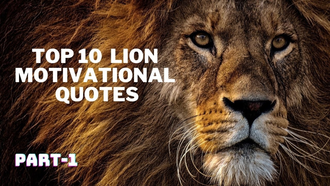 Top 10 Motivational Quotes | Lion Quotes | Inspirational Quotes