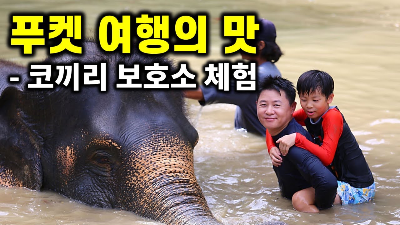 태국 푸켓 여행의 맛 - 코끼리 보호소 체험 한번에 정리! #푸켓자유여행#엘리펀트정글생츄어리