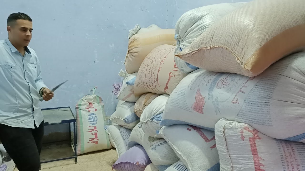نظرا لارتفاع الاعلاف جبتلك البديل وفرق في الاسعار والكميه محدوده|هتأكل غنم وماعز وعجال وجمال#اعلاف#