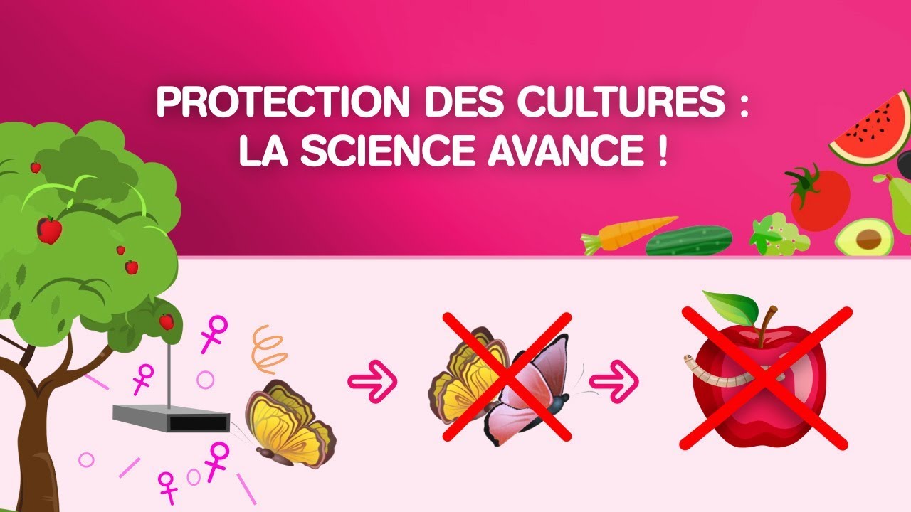 Protection des cultures : la science avance !
