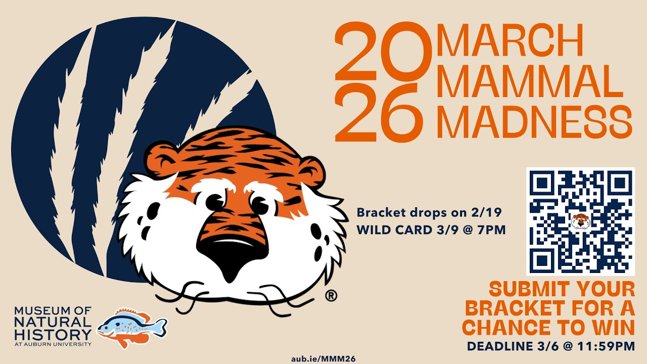 March Mammal Madness 2026
