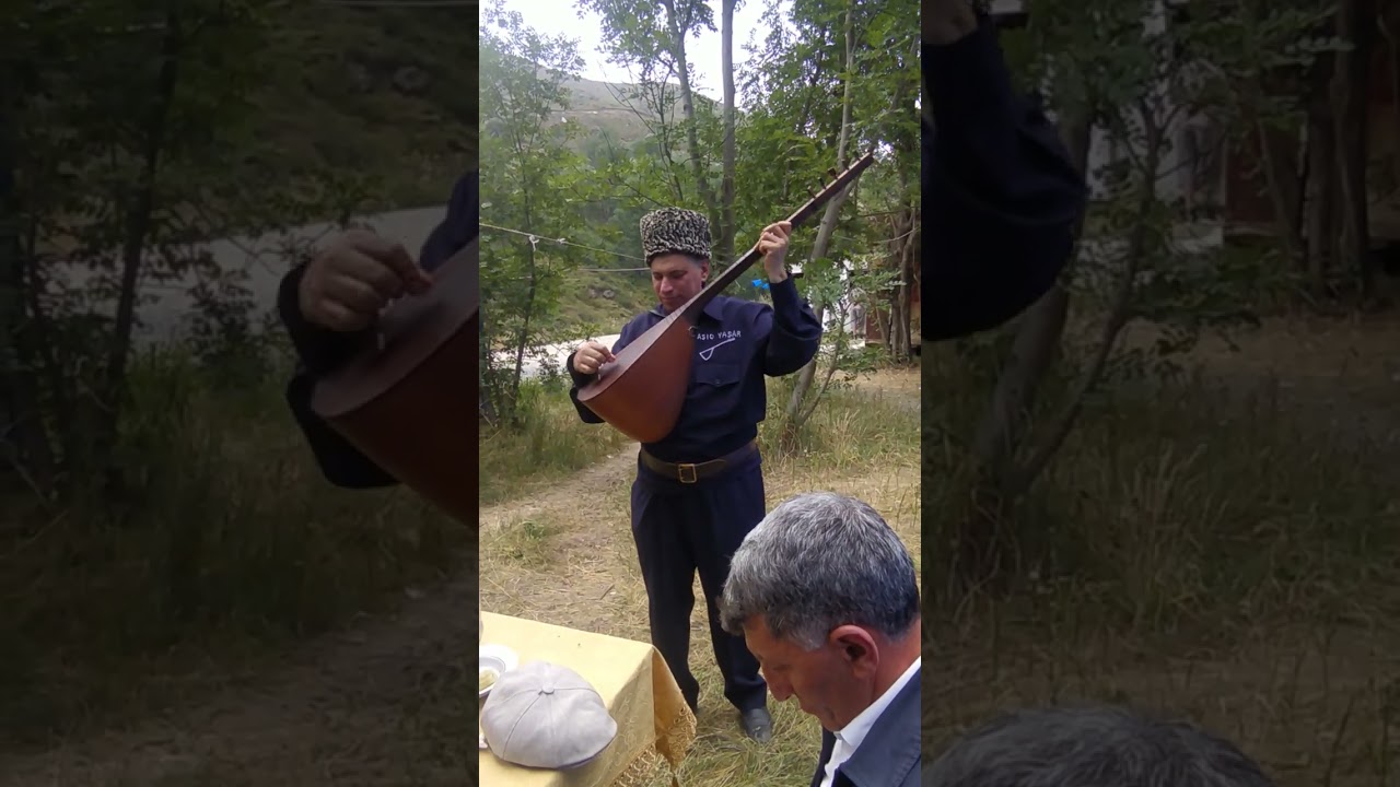 Yaşar 1