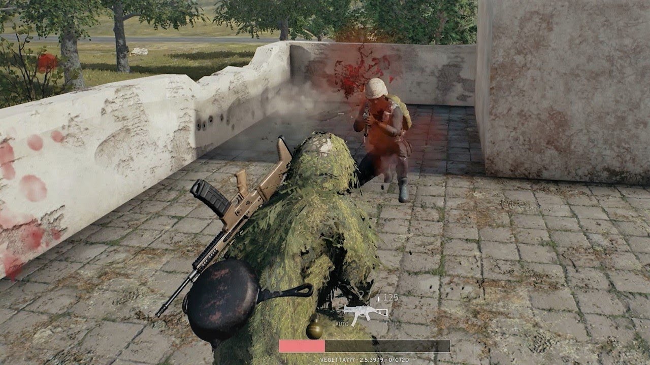 PLAYERUNKNOWN'S - ARBUSTOGETTA (SOLO)