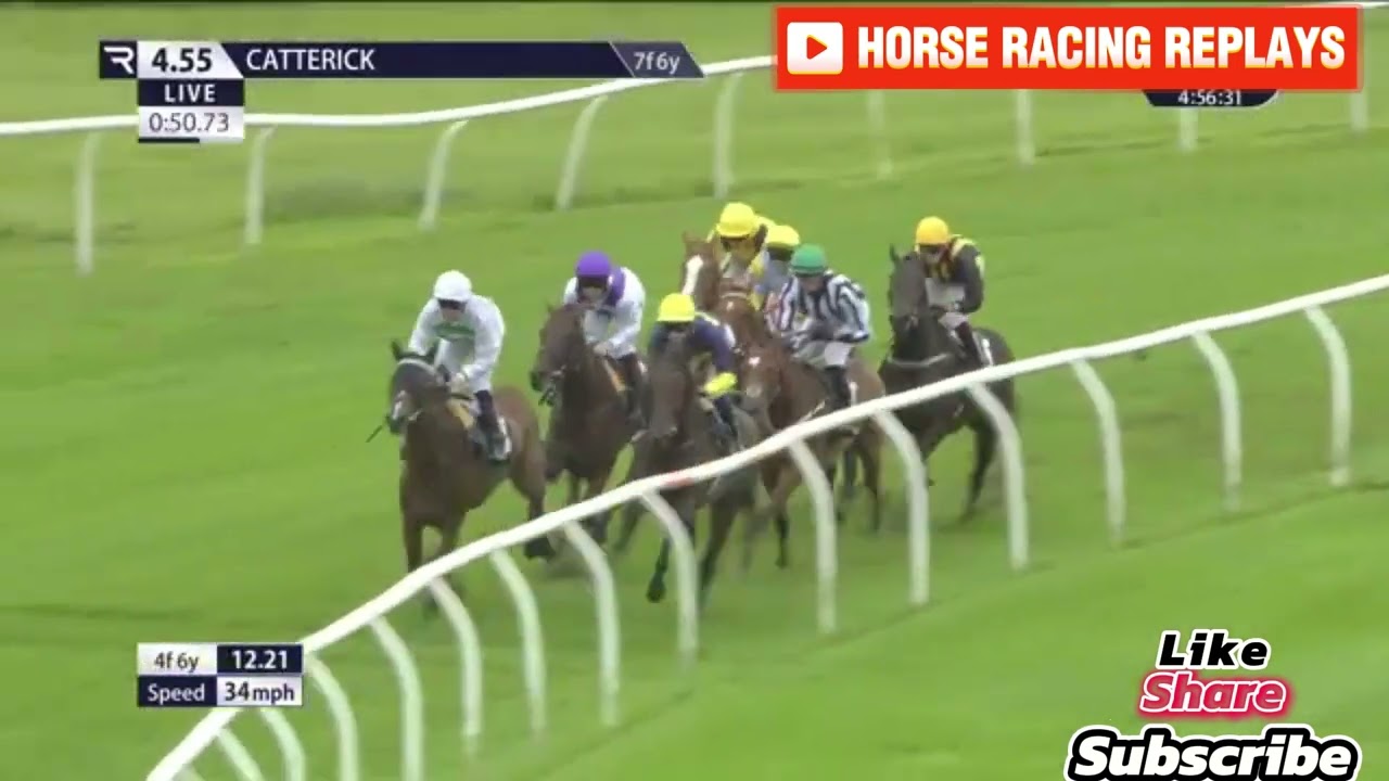ZAINABB / 5 Race Catterick 10 Jul 2024