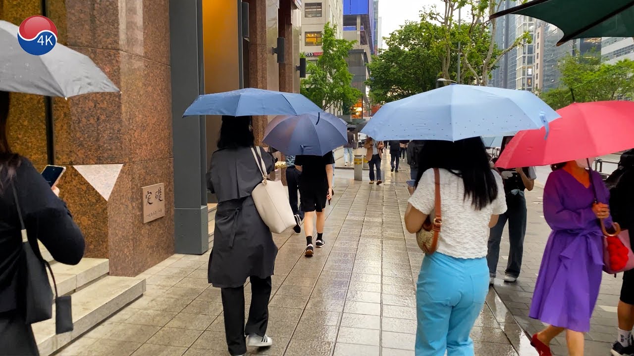 비 내리는 강남역 아침 출근길 풍경, 가뭄에 단비 내리는 강남 대로 걷기. 4K 서울 트래블 워커. 서울 강남 여행.