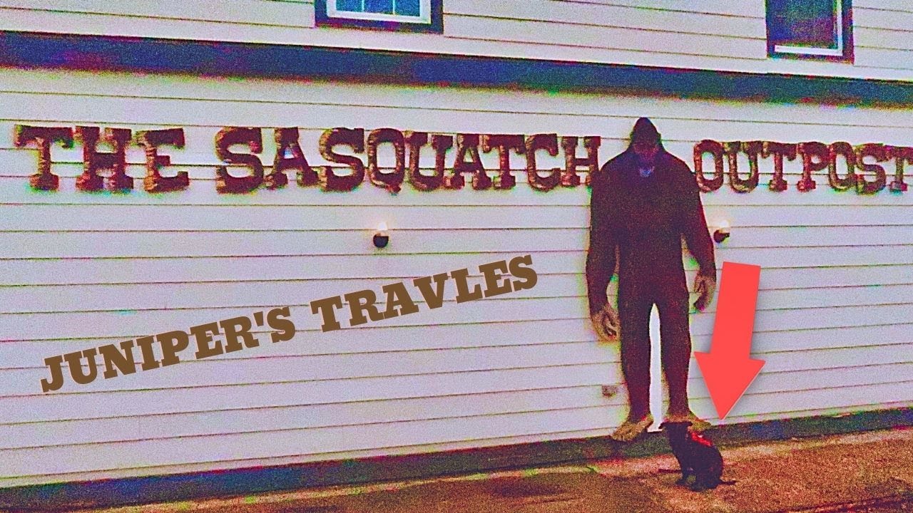 The Sasquatch Outpost in Colorado with Juniper's Travels!