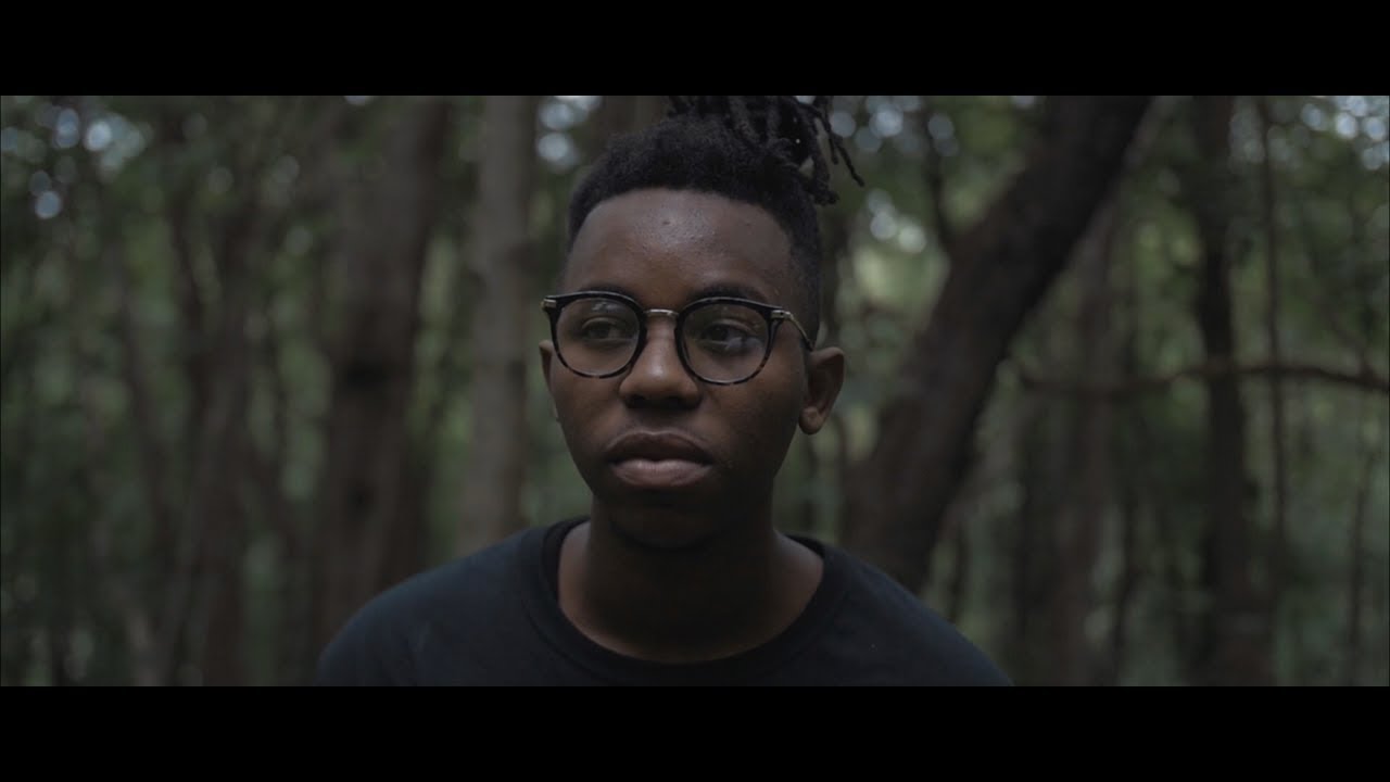 Montell Fish - Green Leaves || Official Video @montellfish @willedison4