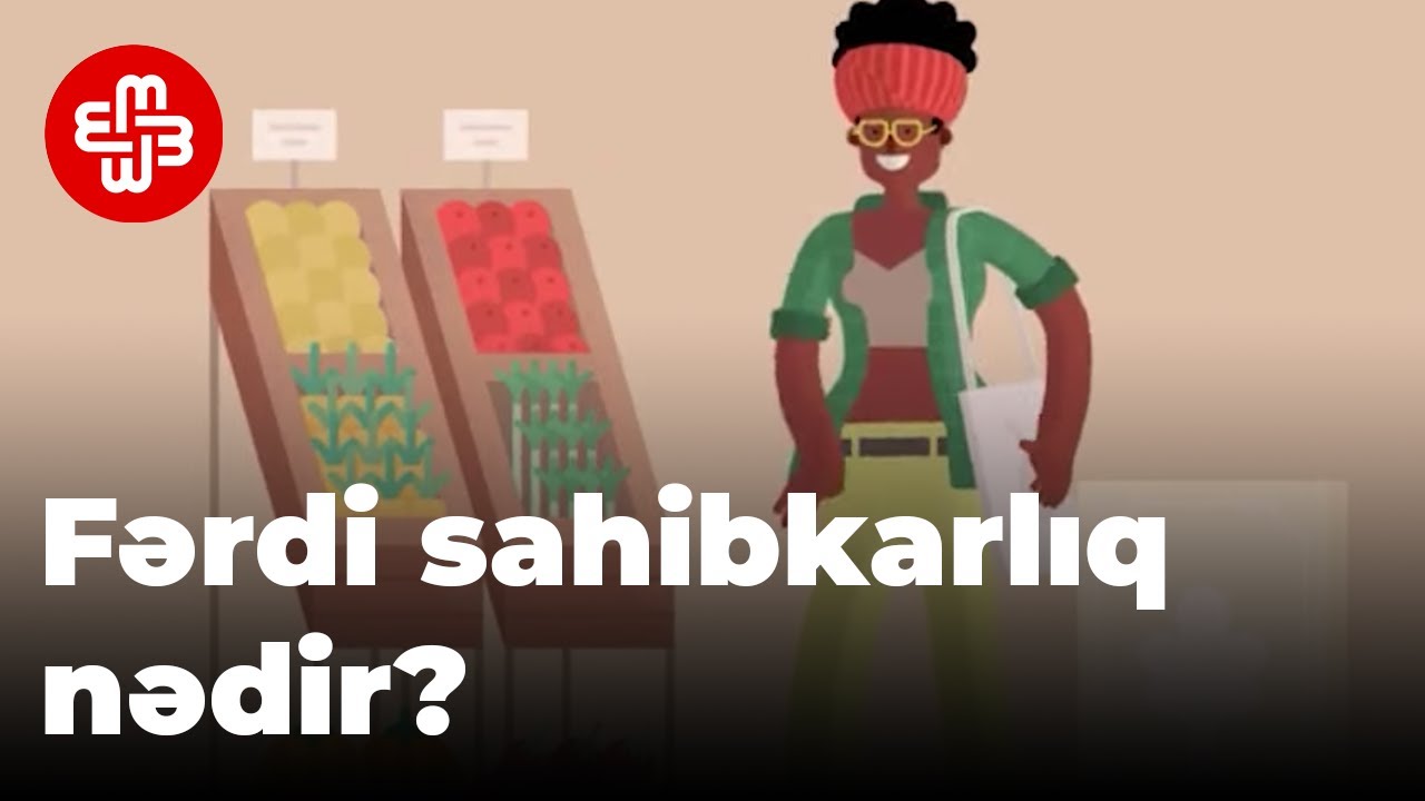 Fərdi sahibkarlıq nədir? - İzah edirik