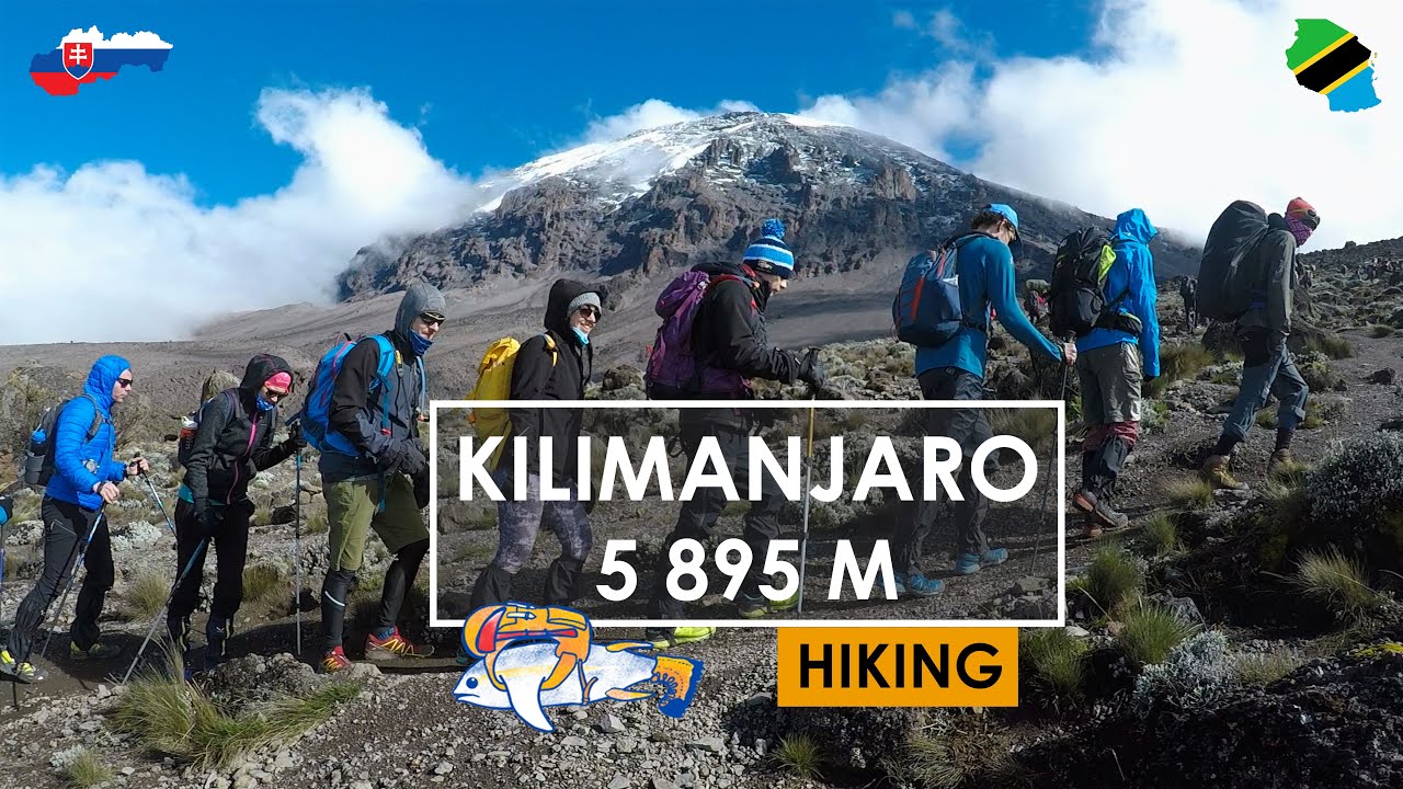 KILIMANJARO (5 895 m) - Climbing the Highest Peak of Africa | 4K | TravelingTunas Expedition 🐟