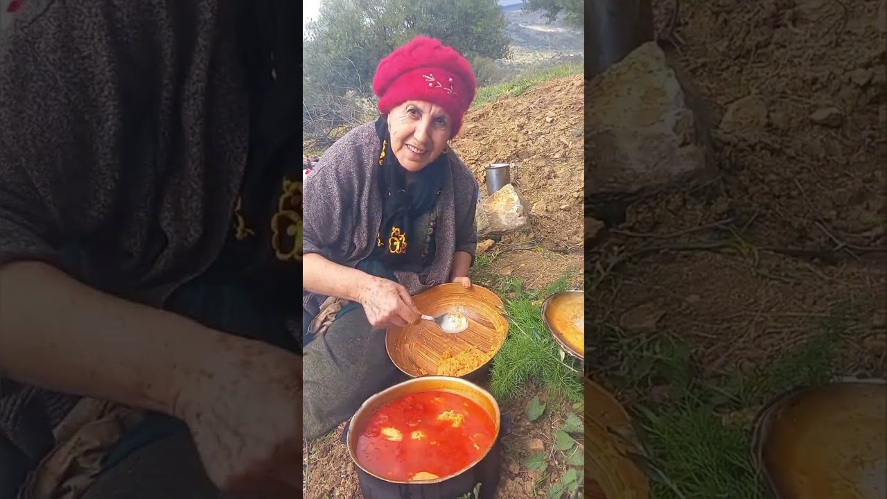 Quelques extraits de mes journées de récolte d'olive, مقتطفات من أيام جني الزيتون