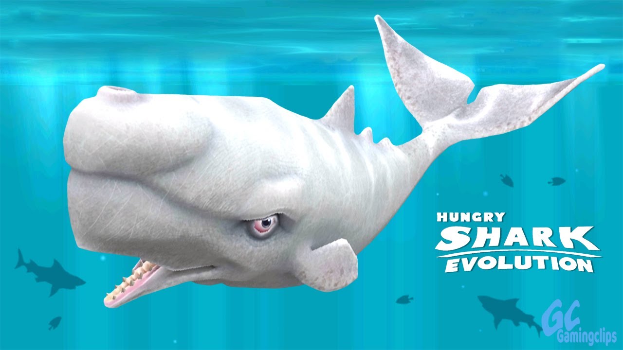 MOBY DICK Level up! Hungry Shark Evolution