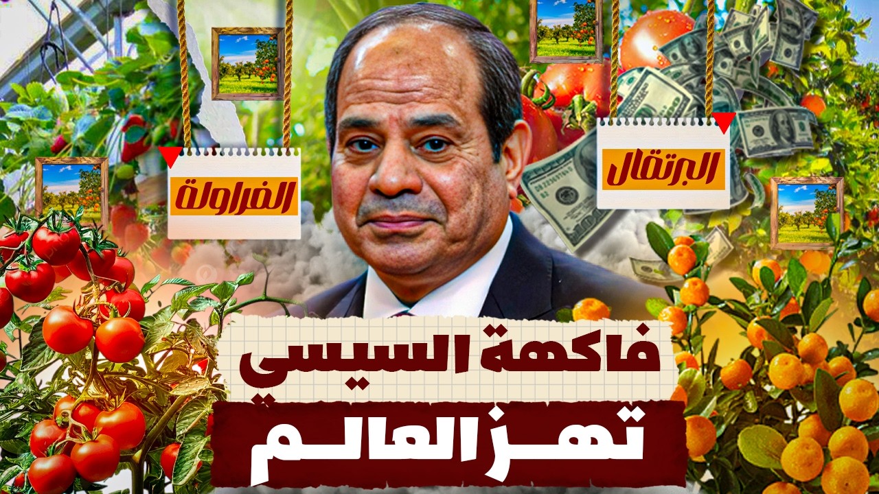 مصر الأولى عالميًا في تصدير البرتقال.. هل تصبح سلة غذاء المنطقة؟