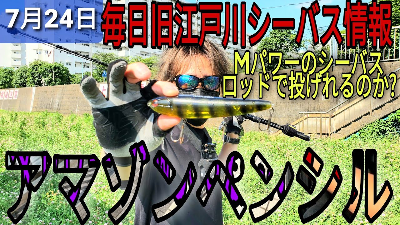 アマゾンペンシル入荷!普通のmパワーのシーバスロッドで投げてみた!旧江戸川河口にて！