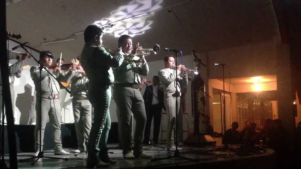 mariachi emperadores el vuelo del avispón