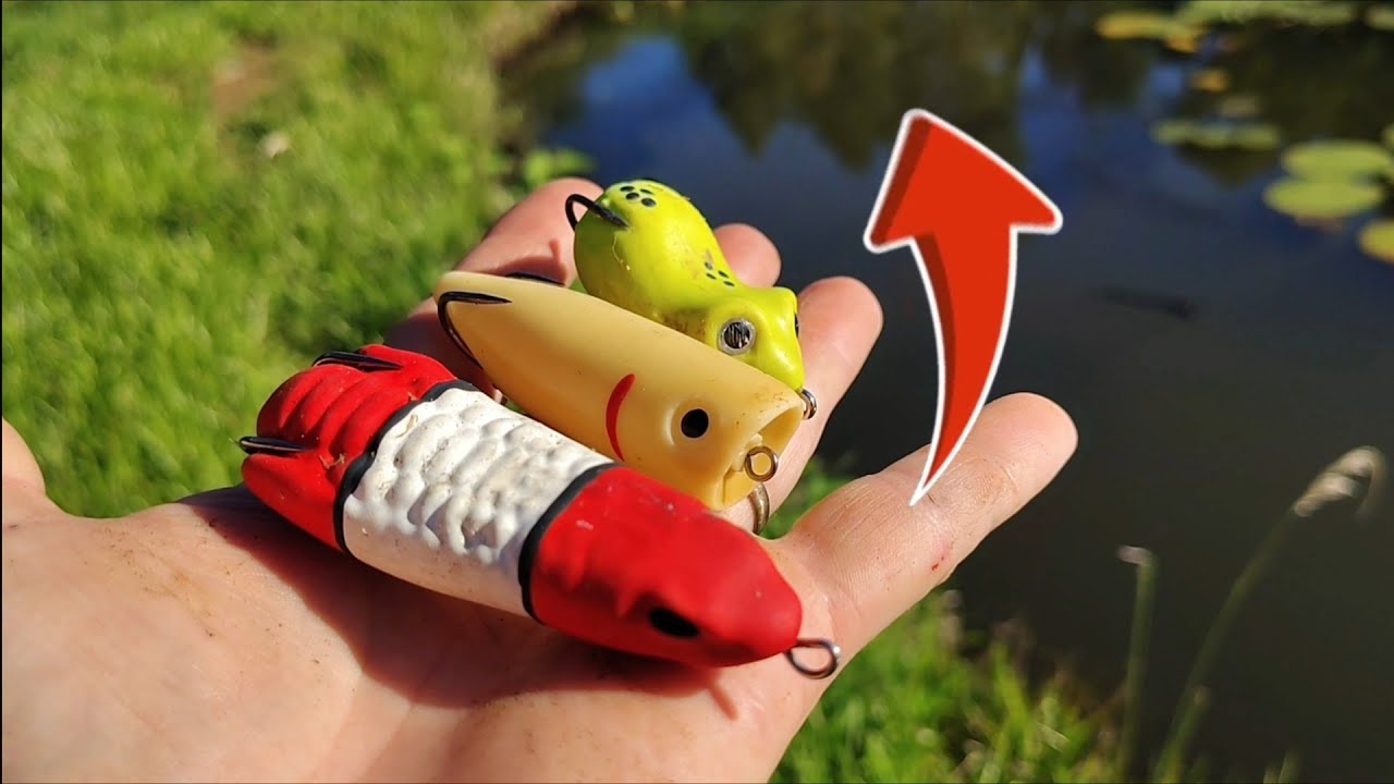 🚨Vídeo 3 da série 🚨 A pesca de traíra com frogs e ratos! Fazendo elas explodir na superfície!/