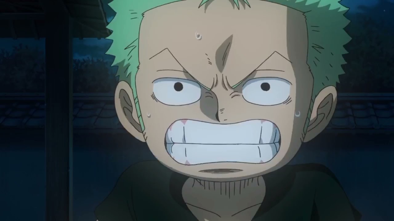 Zoro's Inspiration. Kuina's Death