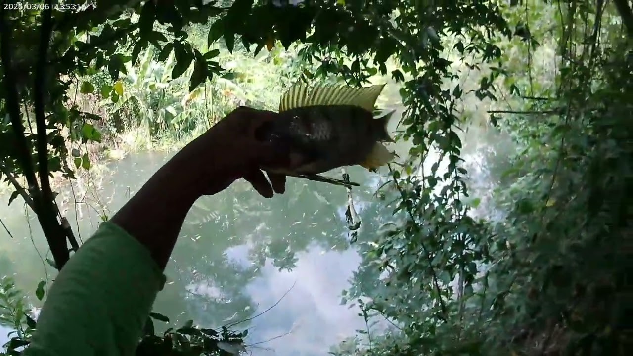 Ang pagrisbak sa dating spot,#Kahanginvlogstiksayfishing,
