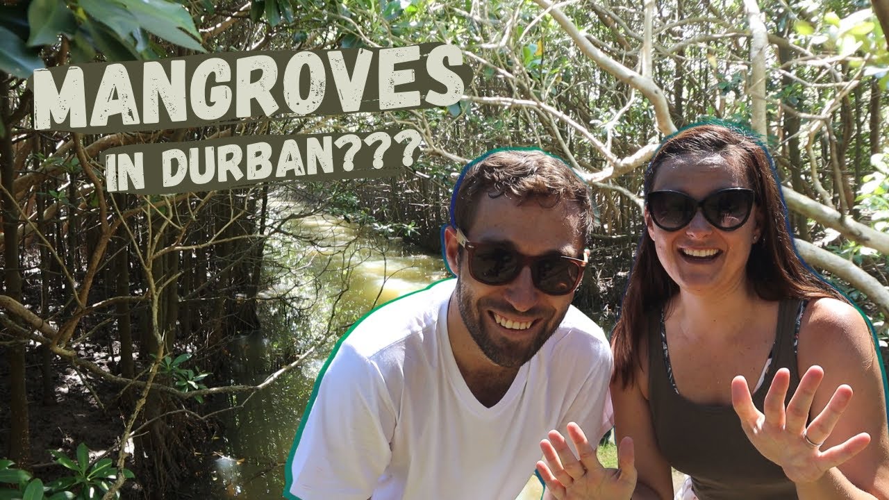BEACHWOOD MANGROVES l DURBAN l Things to do in Durban l South African YouTubers l Episode 24