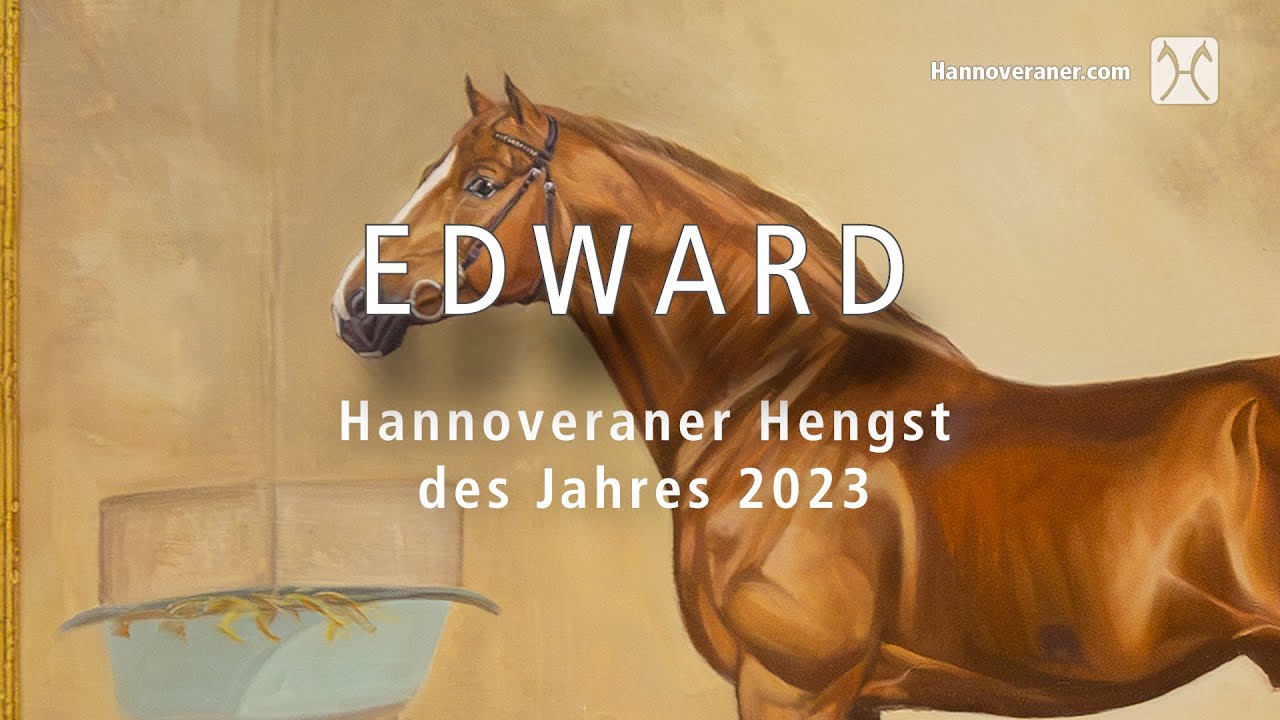Hannoveraner Hengst des Jahres 2023: Edward v. Embassy/Fabriano/Singular Joter