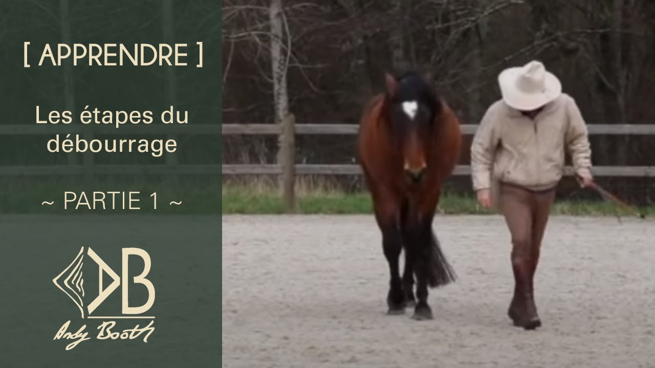 [ APPRENDRE ] Débourrage Calypso ~ Partie 1