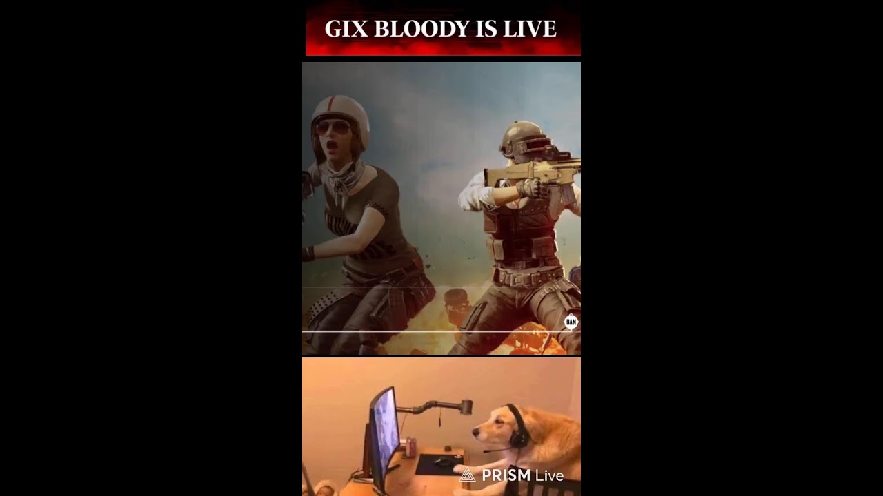 GIX BLOODY IS LIVE  Live Stream
