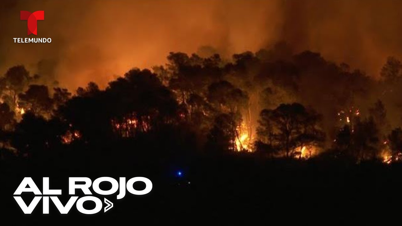 Francia lucha contra el peor incendio forestal en más de medio siglo | Al Rojo Vivo | Telemundo