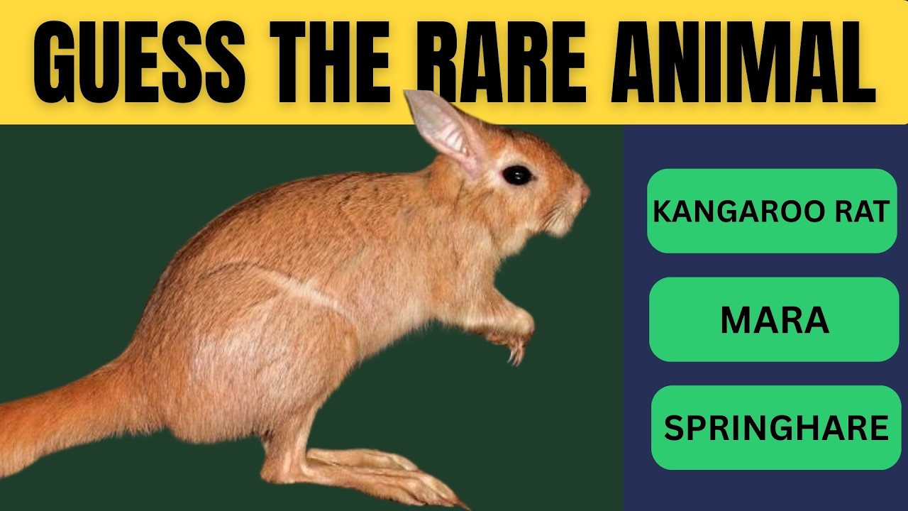 Only 1% Can Guess These Rare Animals! 🦎 Wildlife Quiz ChallengeGuess the rare animal